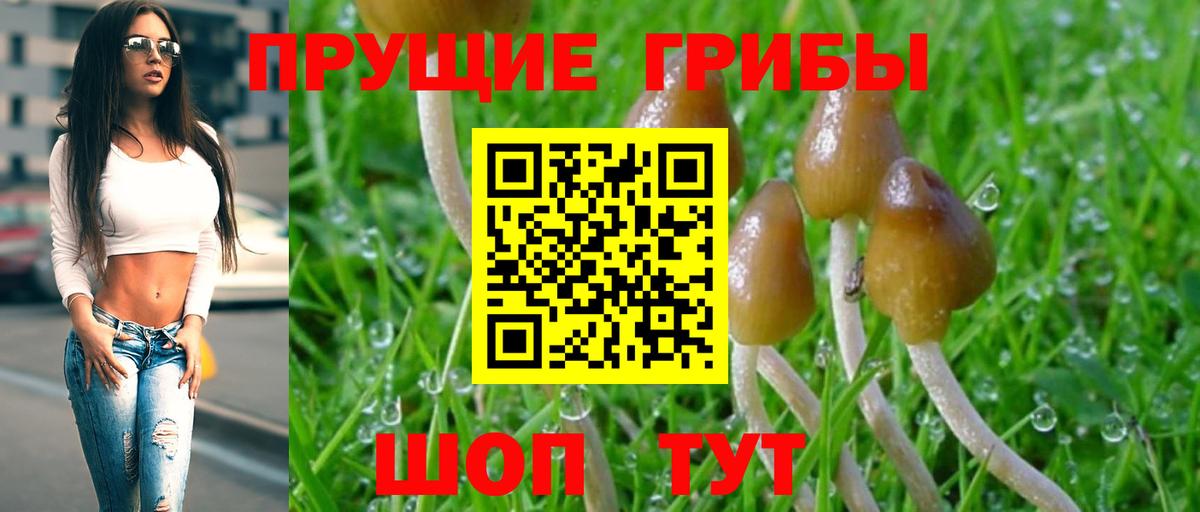 Галлюциногенные грибы мицелий  Раменское  Галлюциногенные грибы ЛСД 