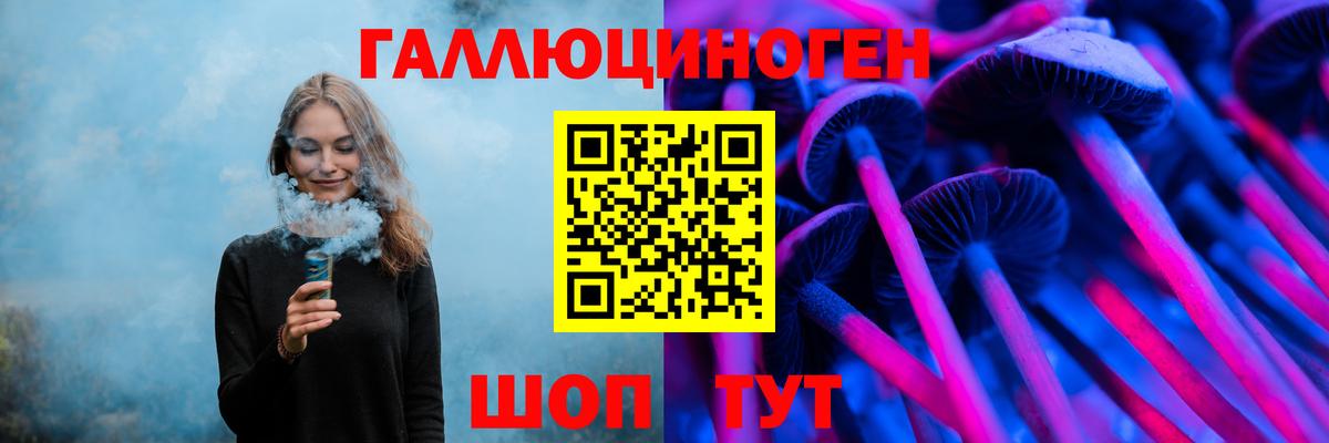Галлюциногенные грибы GOLDEN TEACHER  купить закладку  Раменское  Вход с VPN  Псилоцибиновые грибы Psilocybine cubensis 